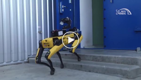В Чернобыль запустили роботов-собак, которые будут вынюхивать радиацию