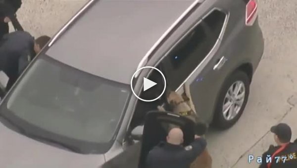 Служебный пёс задержал автоугонщика, отказавшегося покидать автомобиль