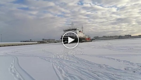 Устроил ледовое сафари. Ледокол Капитан Плахин заставил рыбаков побегать по Финскому заливу