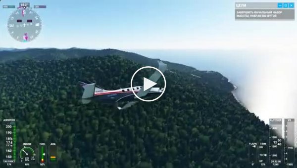        Microsoft Flight Simulator