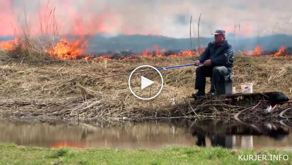 Пожар не помешал мужчине наслаждаться рыбалкой
