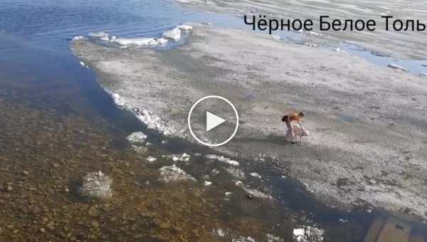 Собака убежала на лед и ей понадобилась помощь