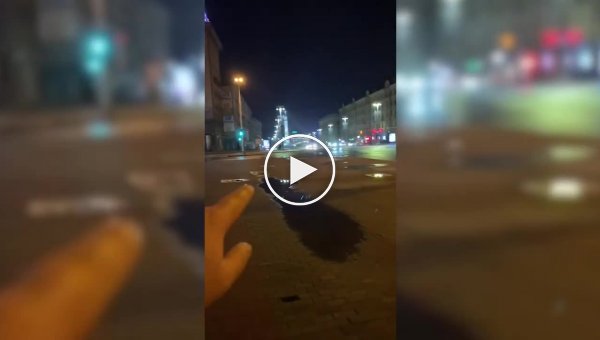 Нерадивый бобр с нарушением всех правил переходил проспект в центре Минска