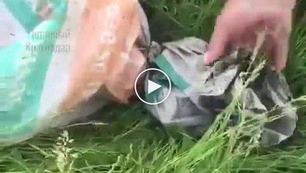 Рыбаки спасли собаку, оставленную кем-то в мешке с камнями на свалке