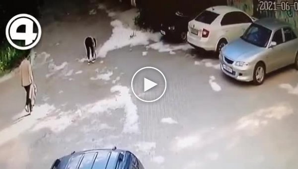В Екатеринбурге парочка решила поджечь тополиный пух и случайно спалила автомобиль