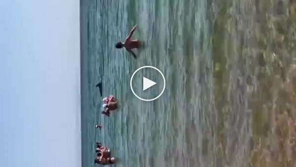 На Сахалине, дельфины приплыли к людям на пляж