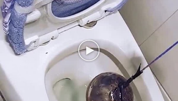 Гениальное изобретение для решения всем знакомой проблемы в туалете