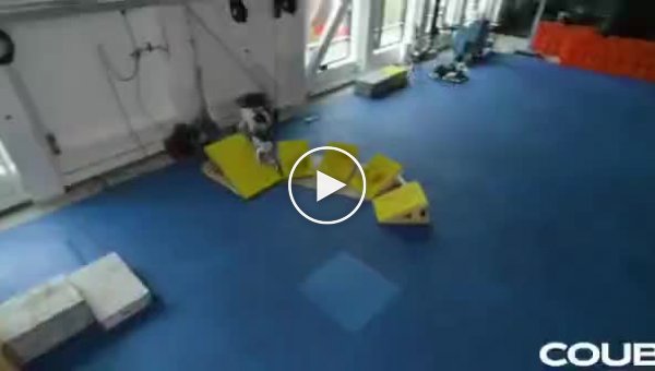 Неудачные дубли с прыгающими роботами от Boston Dynamics