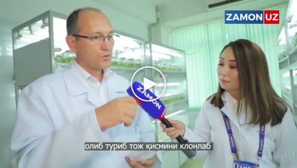Ученые из Узбекистана создали вакцину от коронавируса в виде помидора