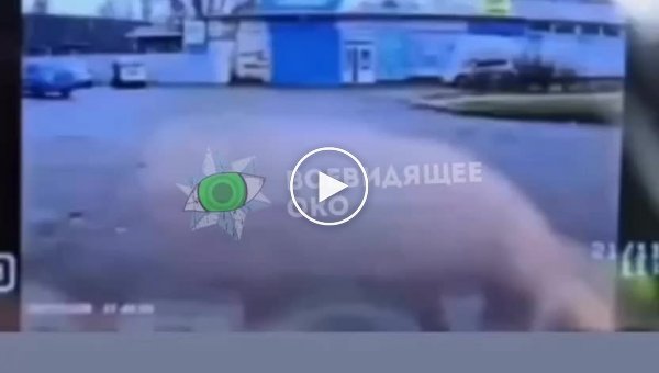 В Запорожье два шумахера — пьяный водитель и его товарищ на летней резине влетели под фуру