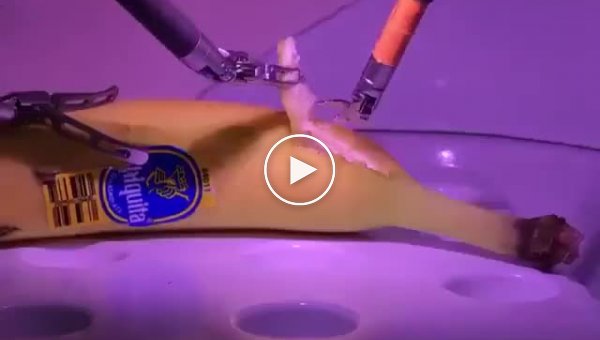 Хирург из Лондона прооперировал банан, который находится в Калифорнии