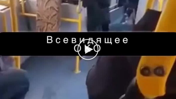 В Николаеве водитель автобуса побил пассажира