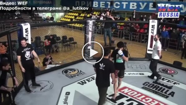 На турнире MMA в Москве произошла массовая драка
