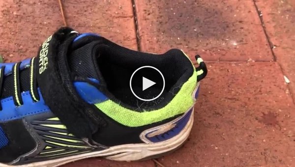 Зачем австралийцы проверяют обувь перед тем, как надеть ее