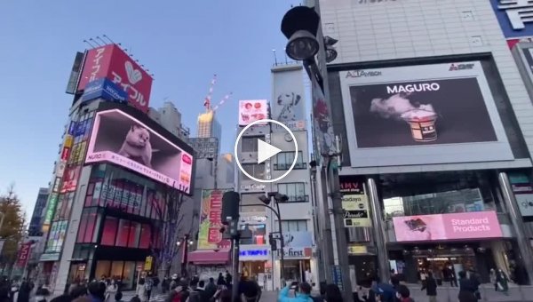Реклама в Токио вышла на новый уровень