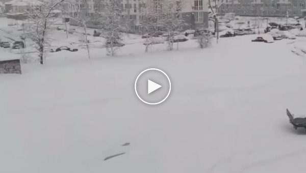 В Краснодаре выпал 41 сантиметр снега, движение парализовано