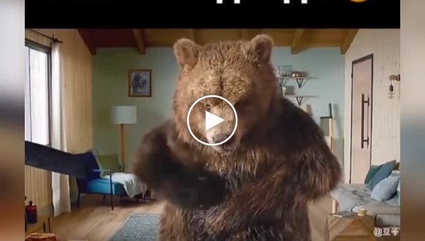 Смешная реклама о том, как появляются белые медведи