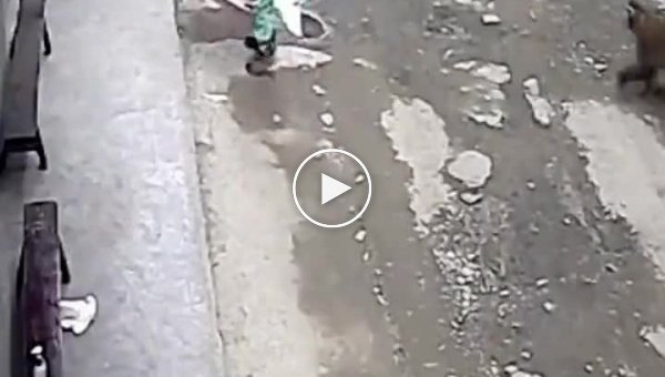 В Китае обезьяна неожиданно напала на трехлетнюю девочку