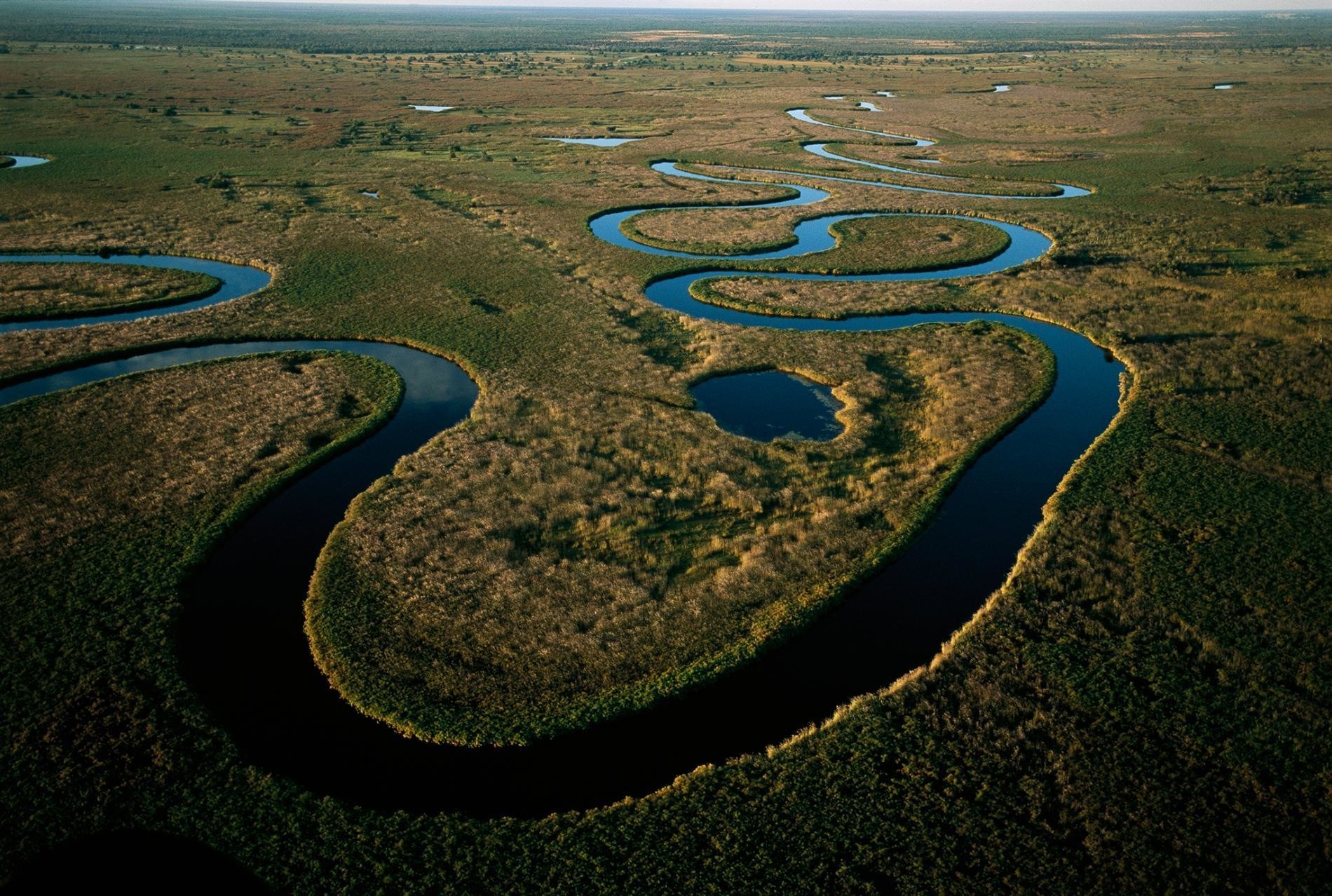Впало в озеро. Река Окаванго, Ботсвана. Дельта реки Окаванго. Дельта реки Окаванго в Ботсване. Дельта реки Окаванго Африка.