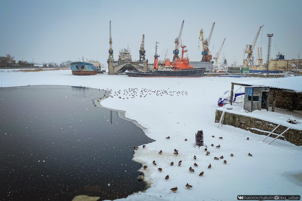 В порту петербурга нашли. Корабли в порту зимой. Год в порту. Санкт-Петербург порт замерзает или нет. Год в порту 2011.